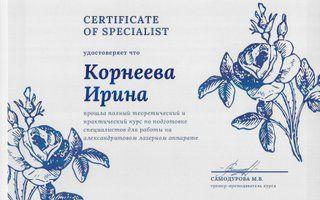 Портфолио