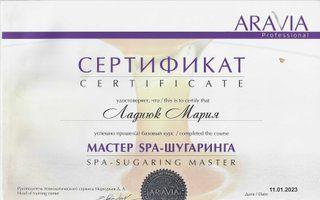 Портфолио