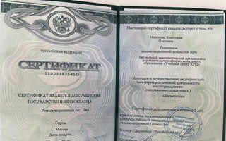 Портфолио