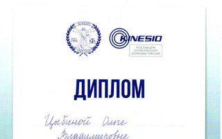 Портфолио