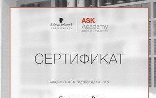 Портфолио
