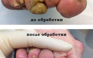 Портфолио