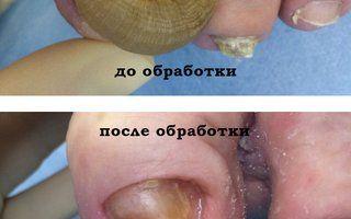 Портфолио