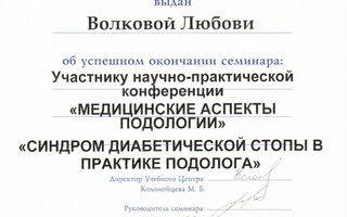 Портфолио