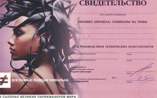 Портфолио