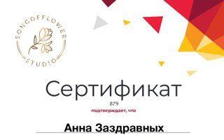 Портфолио