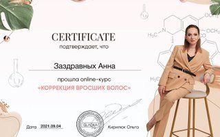 Портфолио