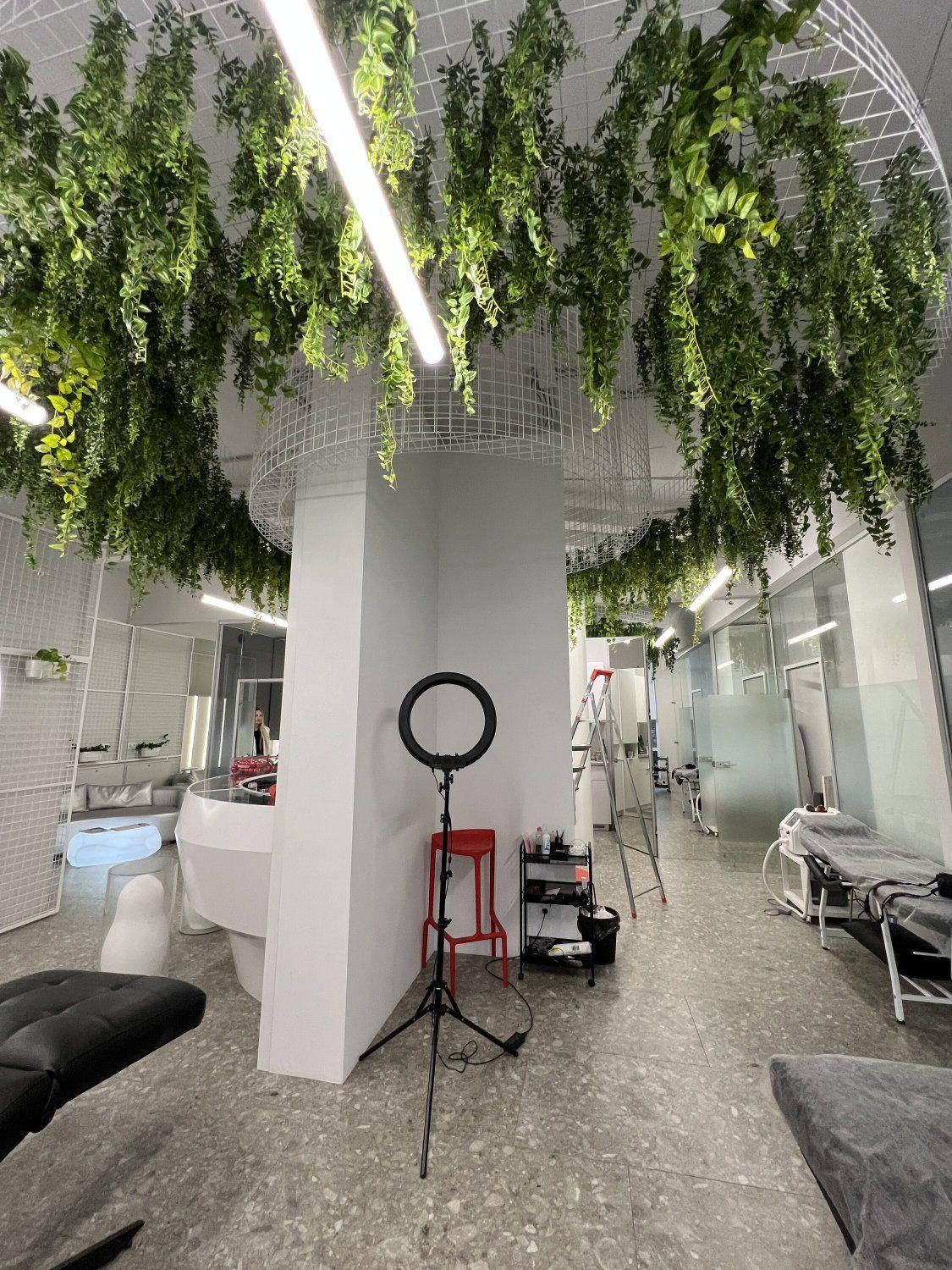 Browushka
