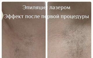 Портфолио