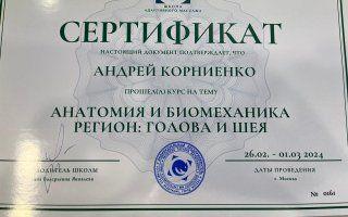 Портфолио