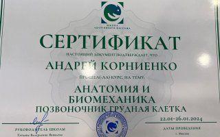 Портфолио