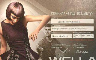 Портфолио