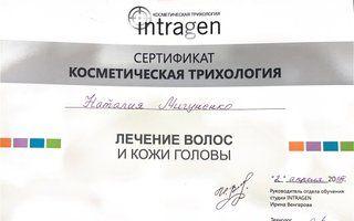 Портфолио