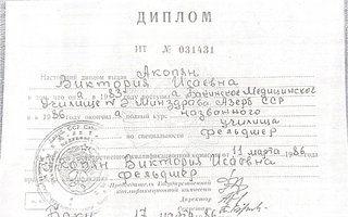 Портфолио