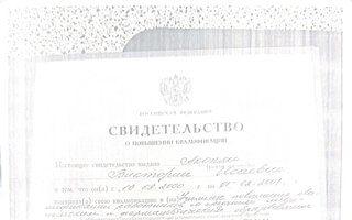 Портфолио