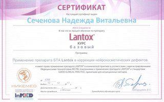 Портфолио