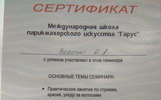 Портфолио
